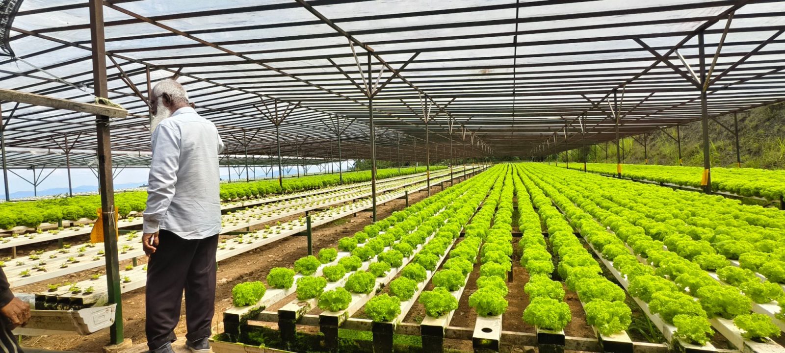 Our founder who start the Journey and Continue till now, Plantation is what he love most