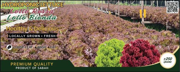 Lollo Rossa & Lollo Bionda · ±250 g