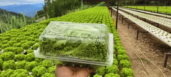Farm photos
