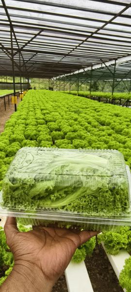 Farm photos
